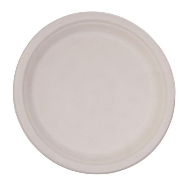 BGP10 Compostable Bagasse Plates 10" (25cm) TP4 (5x100)