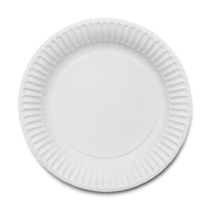 DIS5480S 6" Paper Plates (1x100)