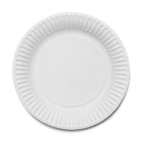 6" Paper Plates (1x100)