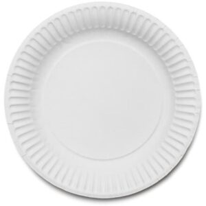 DIS5482S 9" Paper Plates (1x100)