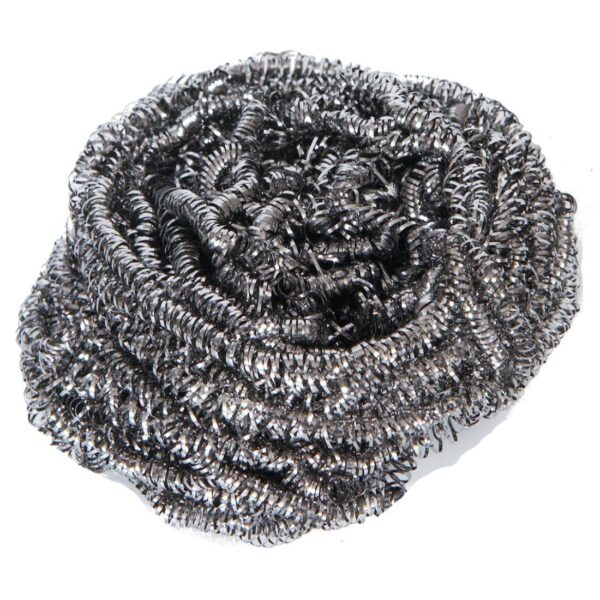 SUSS40 40gm Stainless Steel Scourers (1x10)