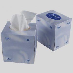 2 Ply White Hotel Facial Tissues (36 x 100 sheets)